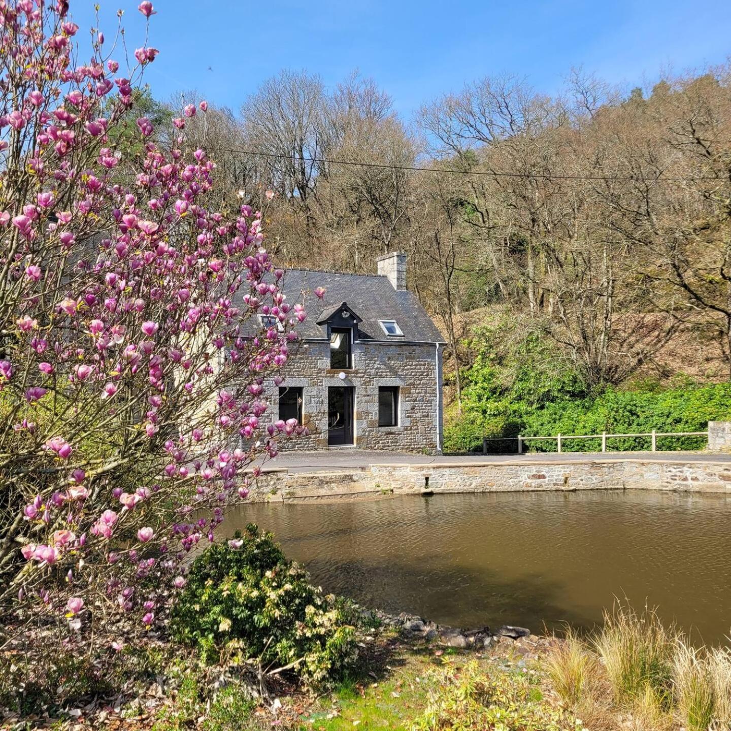 Maen Roch Maison Du Moulin 빌라 외부 사진